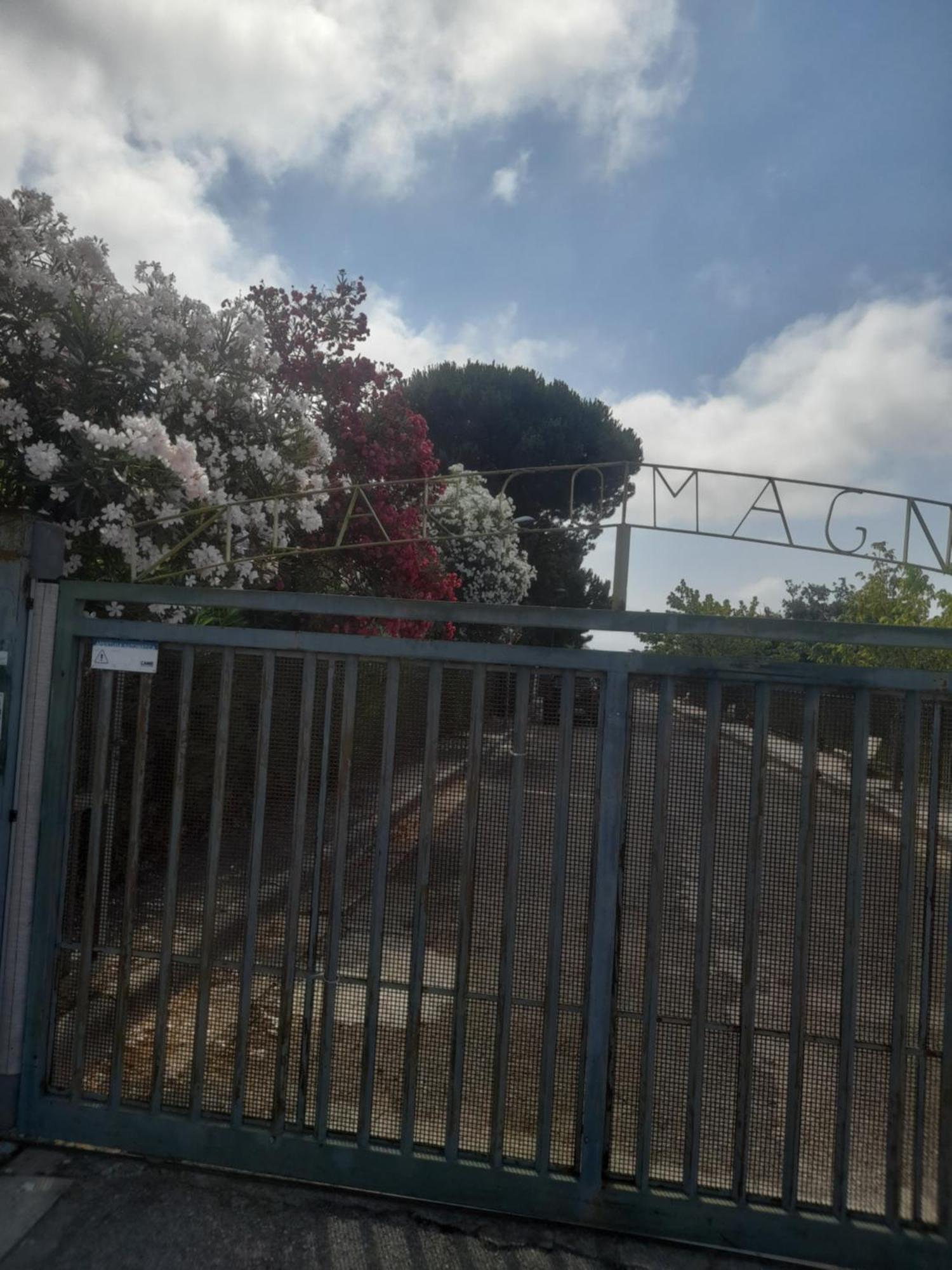 Casa Ettore San Nicola Arcella Luaran gambar